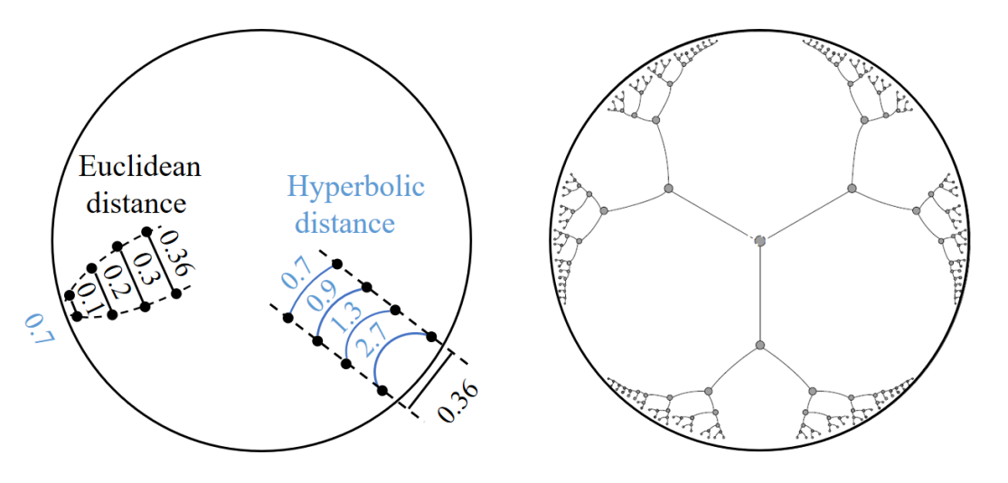 [GNN] Hyperbolic Neural Networks - Part 1 : Hyperbolic Geometry and Generalization of Euclidean Operations in Hyperbolic Space